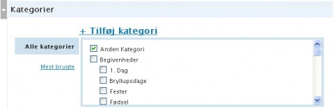 Skriv Indlaeg_Katagori.jpg