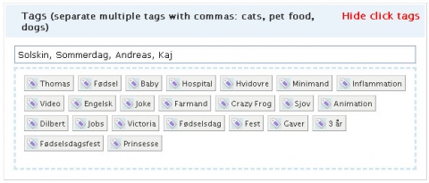 Skriv Indlaeg_Tags_2.jpg