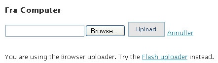 Upload_WEB-UPLOAD 2.jpg