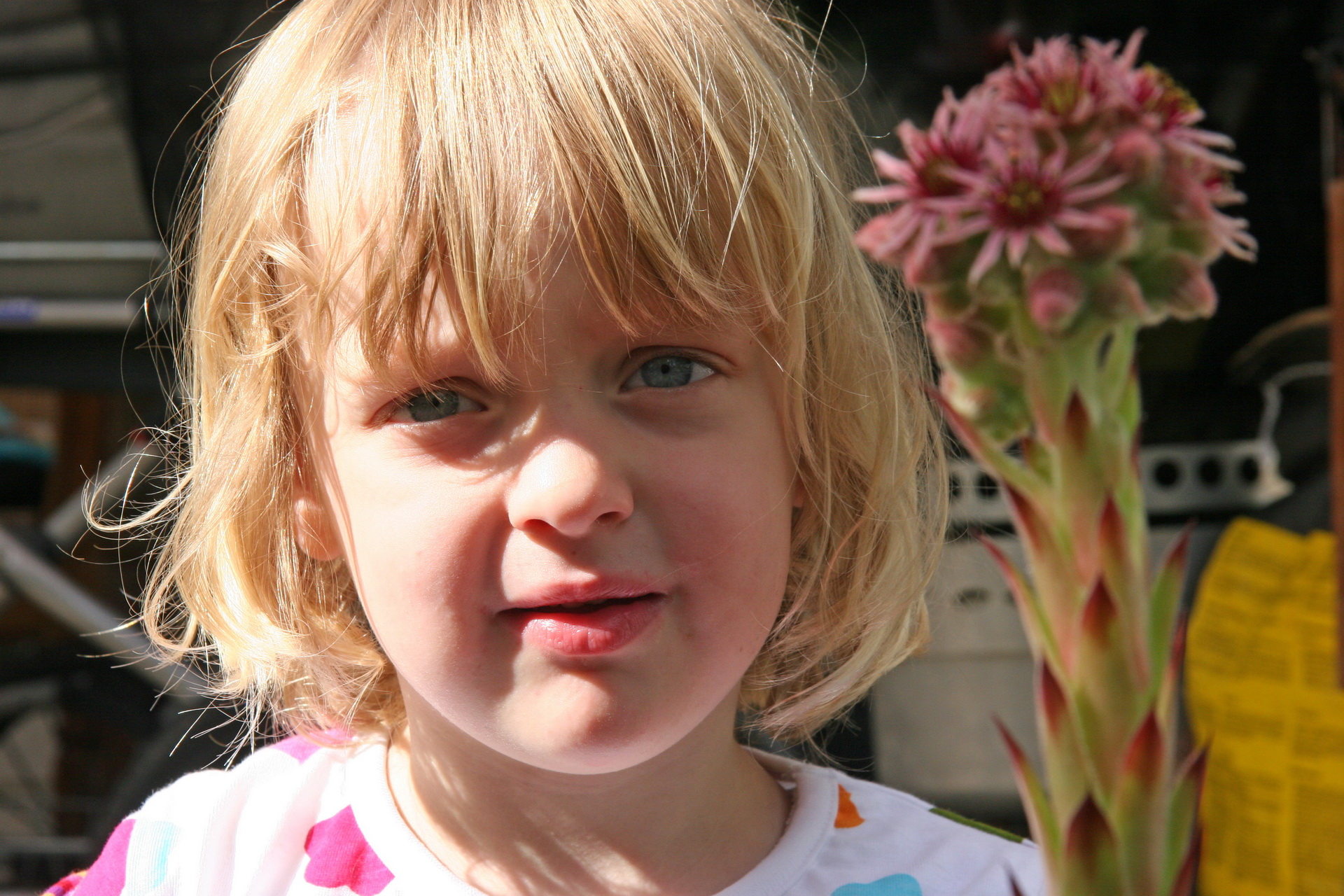 2008-07-12 16-33-28_0242.JPG