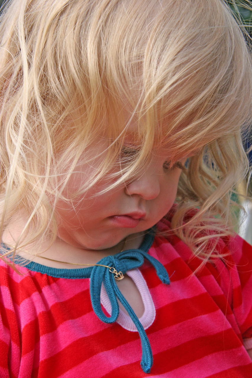 2008-07-12 19-28-10_0491.JPG