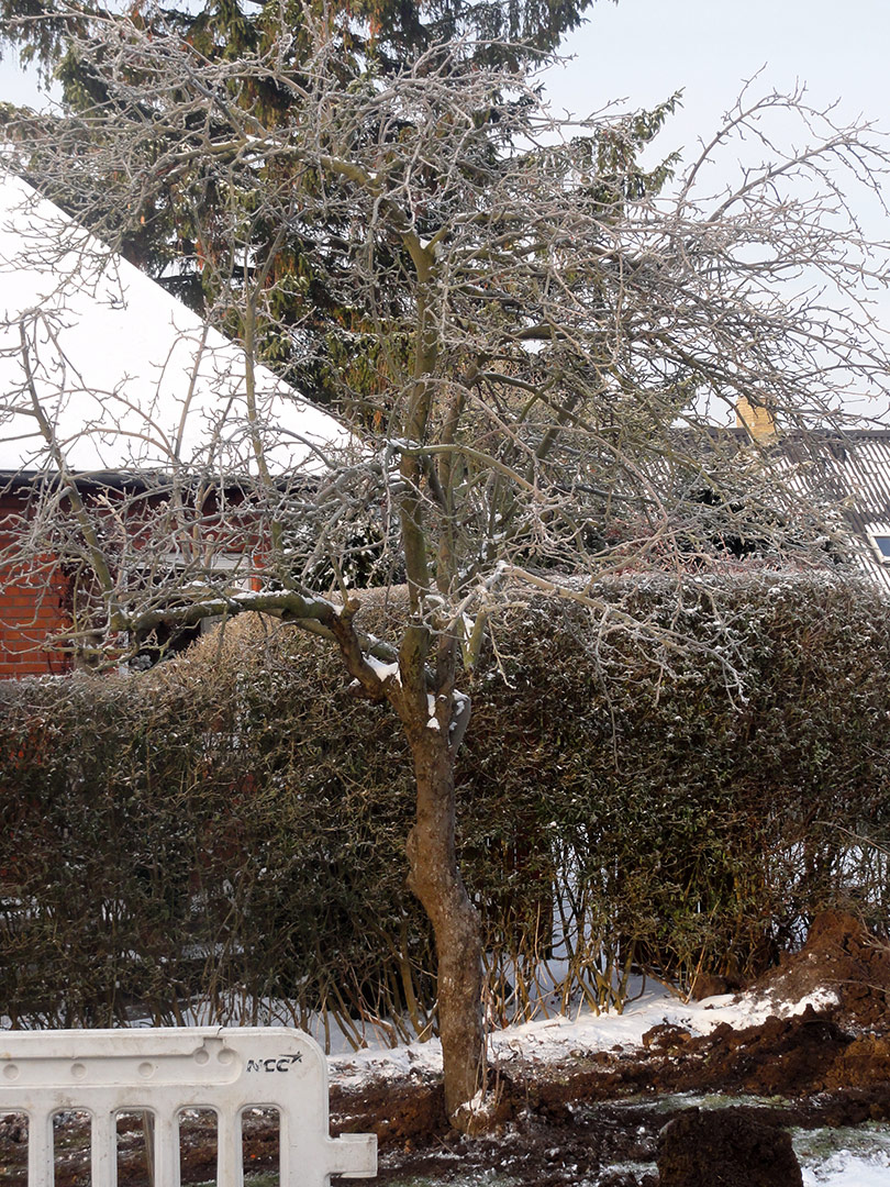 2013-01-16_12-07-57_07017 2013-01-16_12-07-57_07017