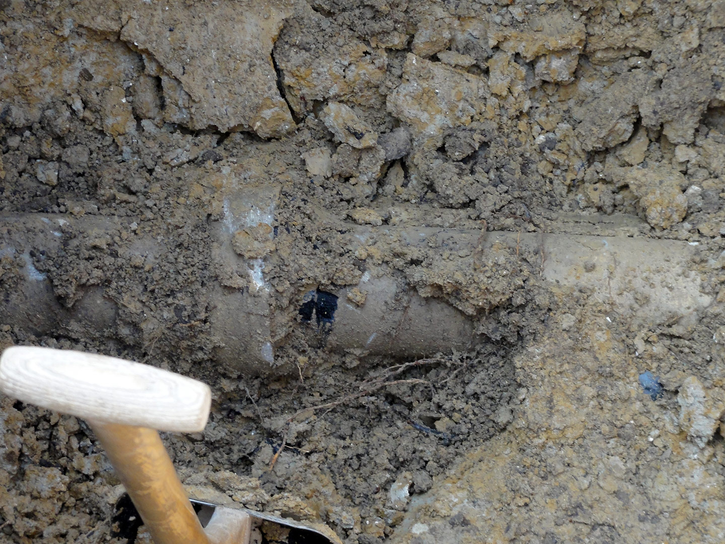 2013-05-09_13-26-37_07593 2013-05-09_13-26-37_07593