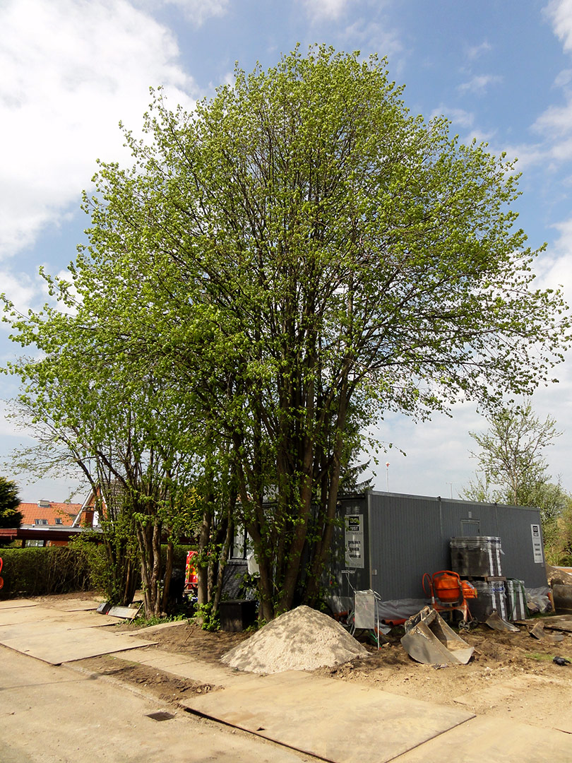 2013-05-10_13-22-55_07670 2013-05-10_13-22-55_07670