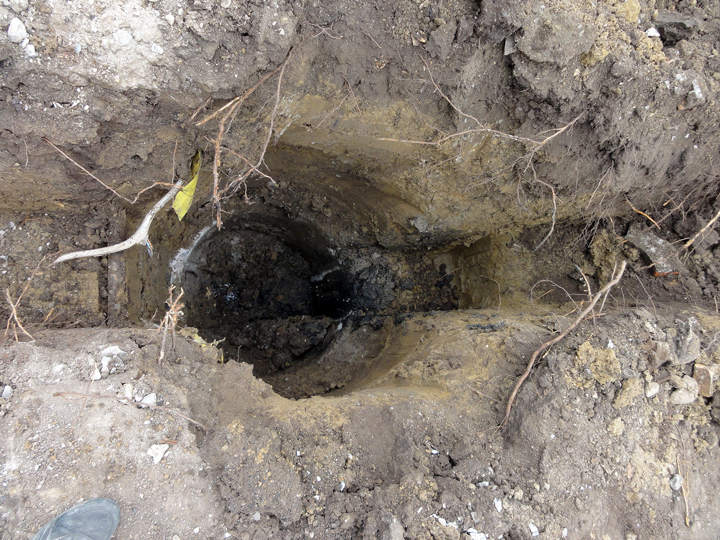 2013-05-13_12-55-41_07731 2013-05-13_12-55-41_07731