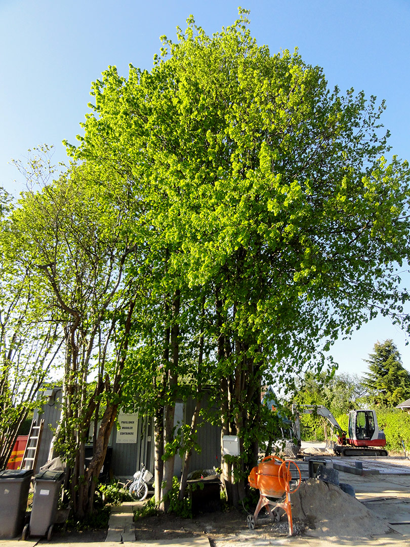 2013-05-15_18-28-48_07814 2013-05-15_18-28-48_07814