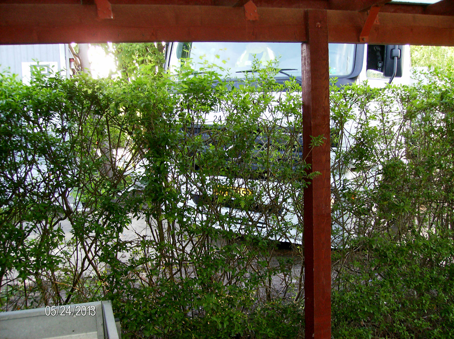 2013-05-24-07-49-34_2561 2013-05-24-07-49-34_2561