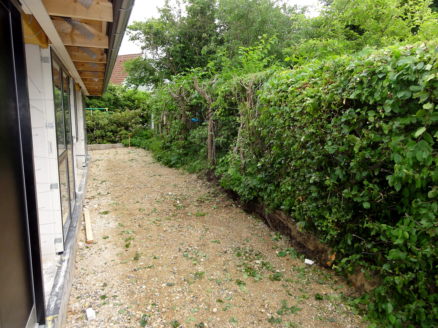 2013-06-23-18-30-09_09055 2013-06-23-18-30-09_09055