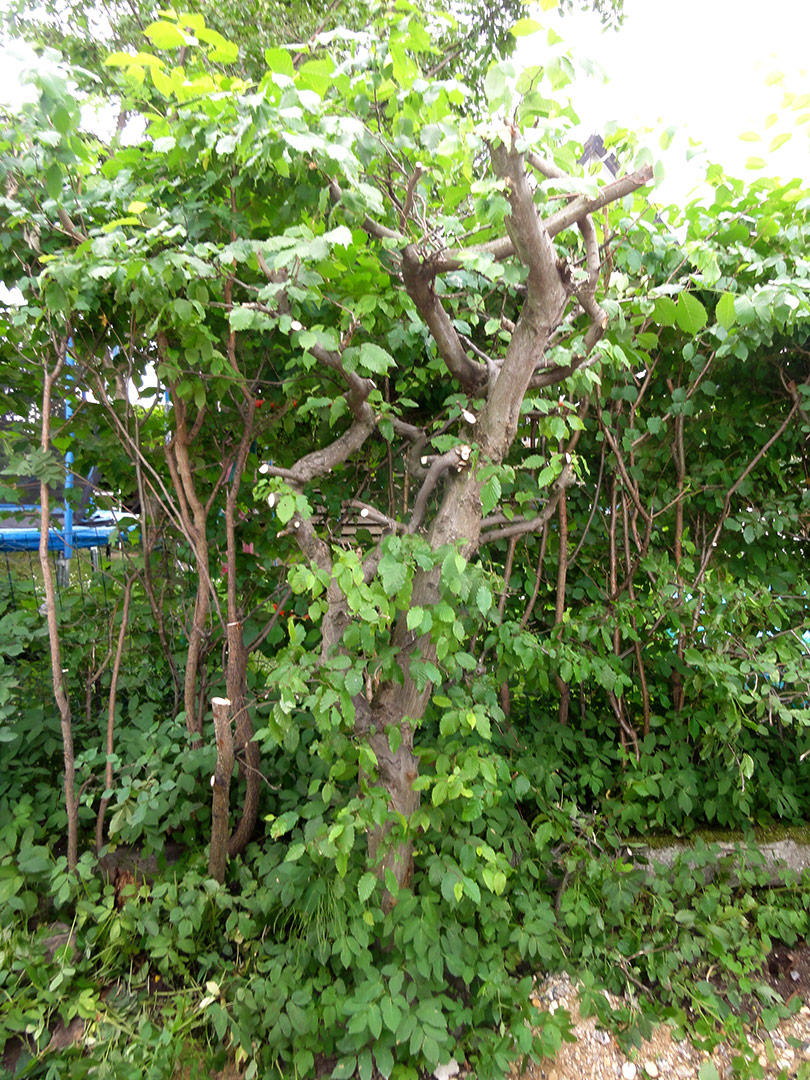 2013-06-23-18-30-23_09057 2013-06-23-18-30-23_09057