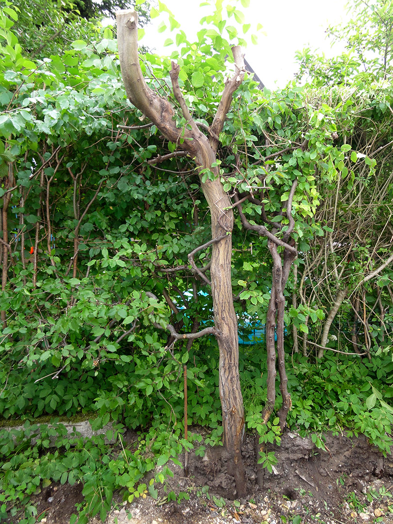 2013-06-23-18-30-30_09058 2013-06-23-18-30-30_09058