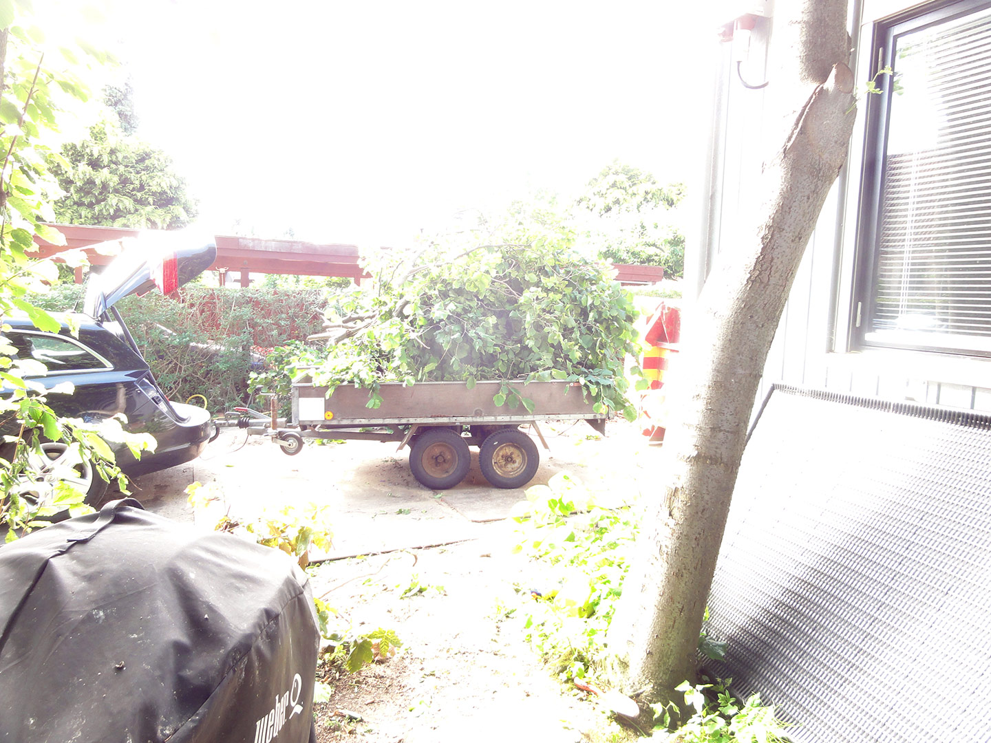 2013-06-24-16-17-16_09071 2013-06-24-16-17-16_09071