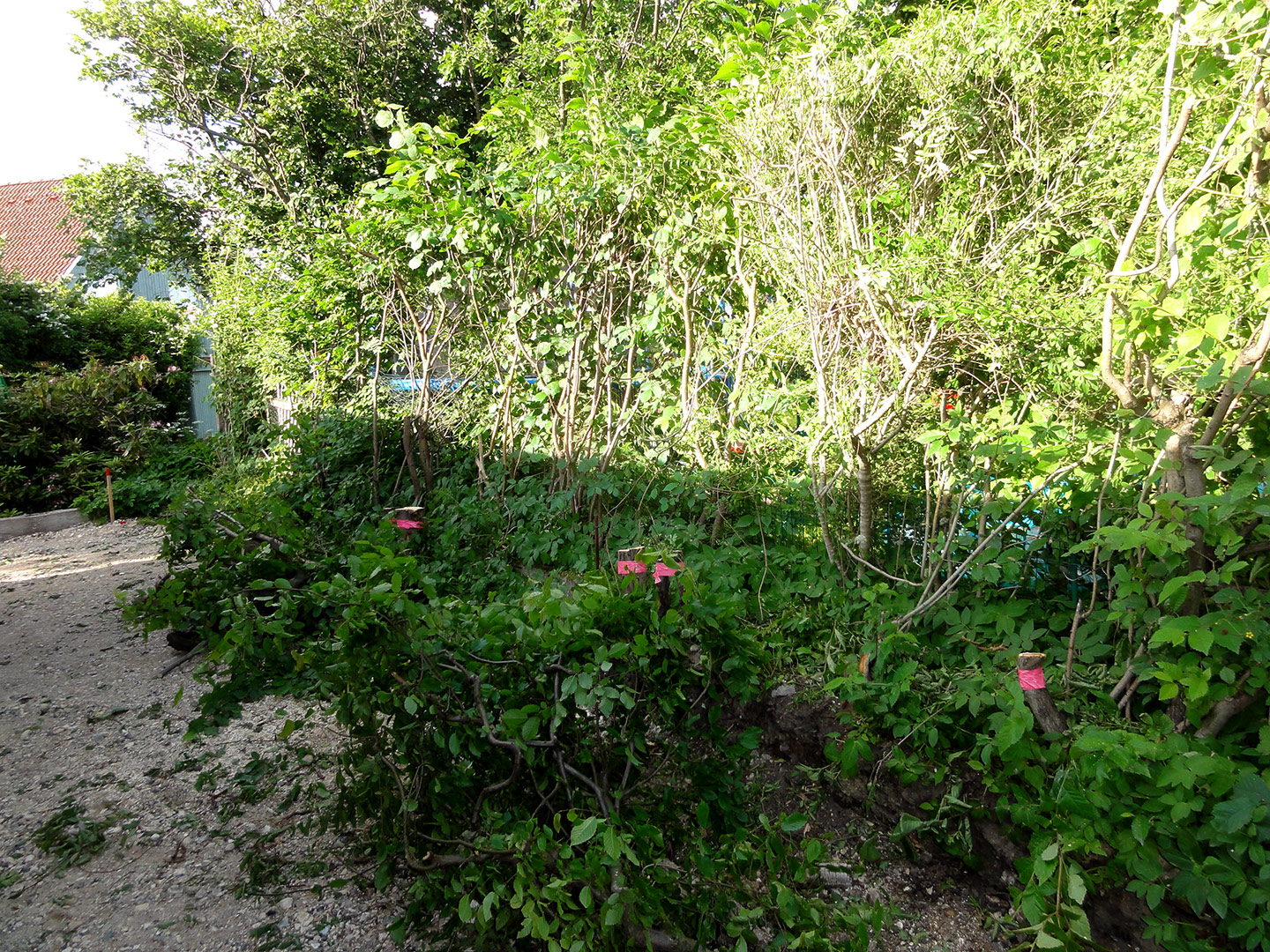 2013-06-24-18-05-03_09074 2013-06-24-18-05-03_09074