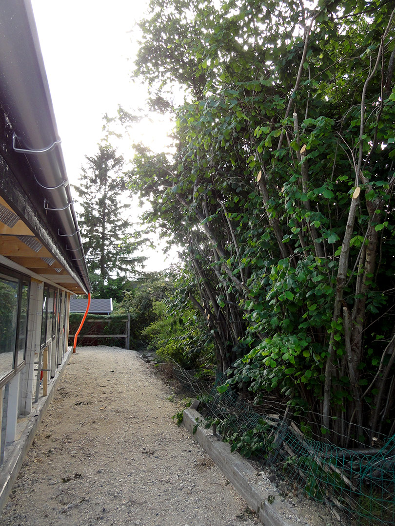 2013-06-28-18-12-44_09235 2013-06-28-18-12-44_09235